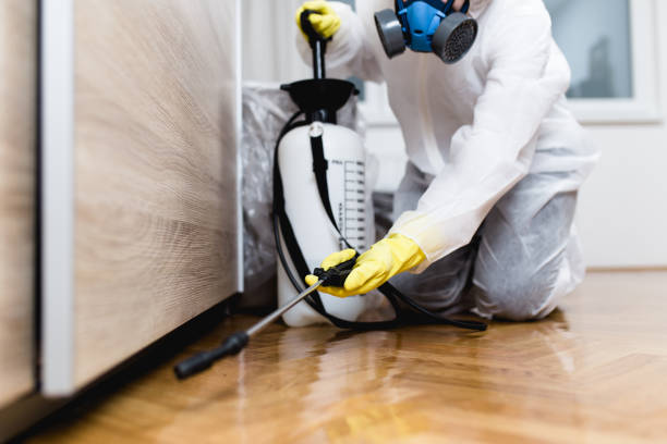 Best Rat Extermination Near Me  in Garden City, MI
