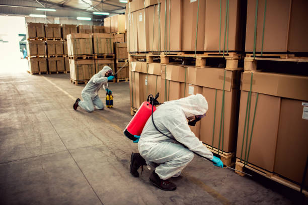 Best Affordable Pest Control Services  in Garden City, MI