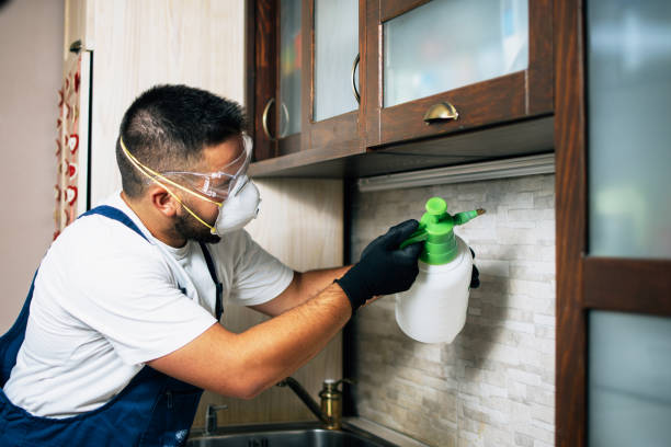 Best Pest Control Treatment  in Garden City, MI
