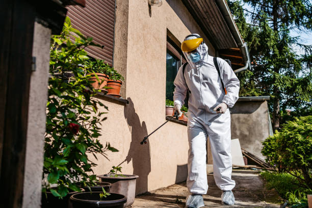 Best Pest Control for Homes  in Garden City, MI