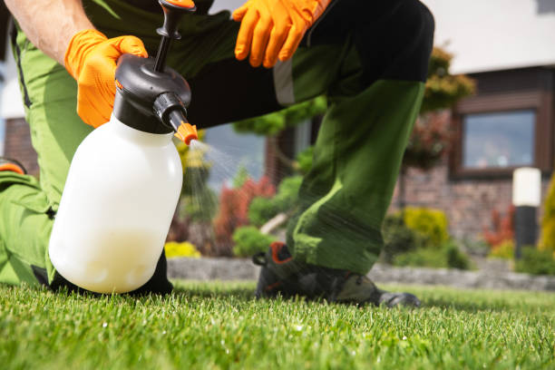 Best Bird Control  in Garden City, MI