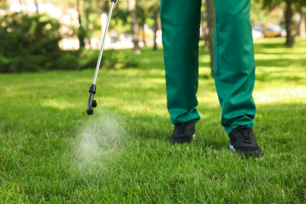 Best Mosquito Control Services  in Garden City, MI