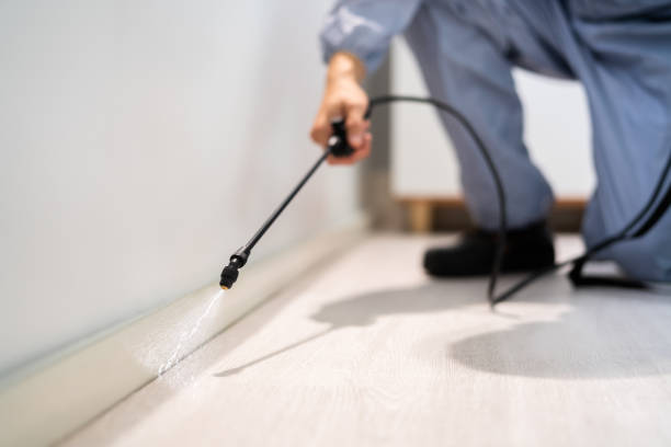 Best Termite Control Services  in Garden City, MI