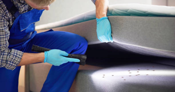 Best Bed Bug Extermination  in Garden City, MI