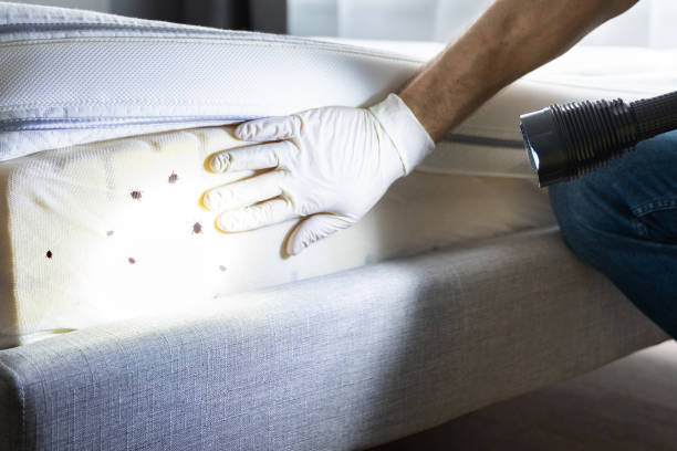 Pest Prevention Services in Garden City, MI