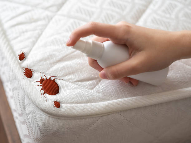 Best Pest Prevention Services  in Garden City, MI