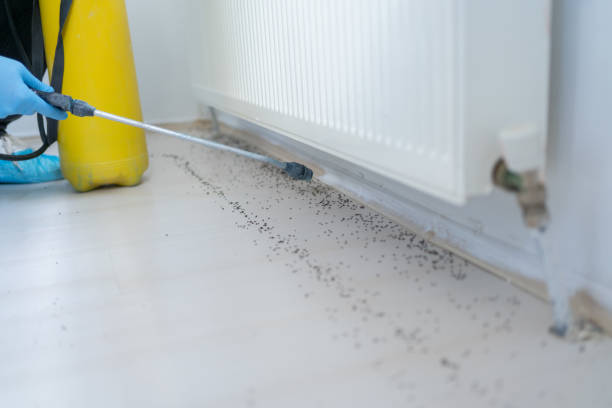 Garden City, MI Pest Control Company